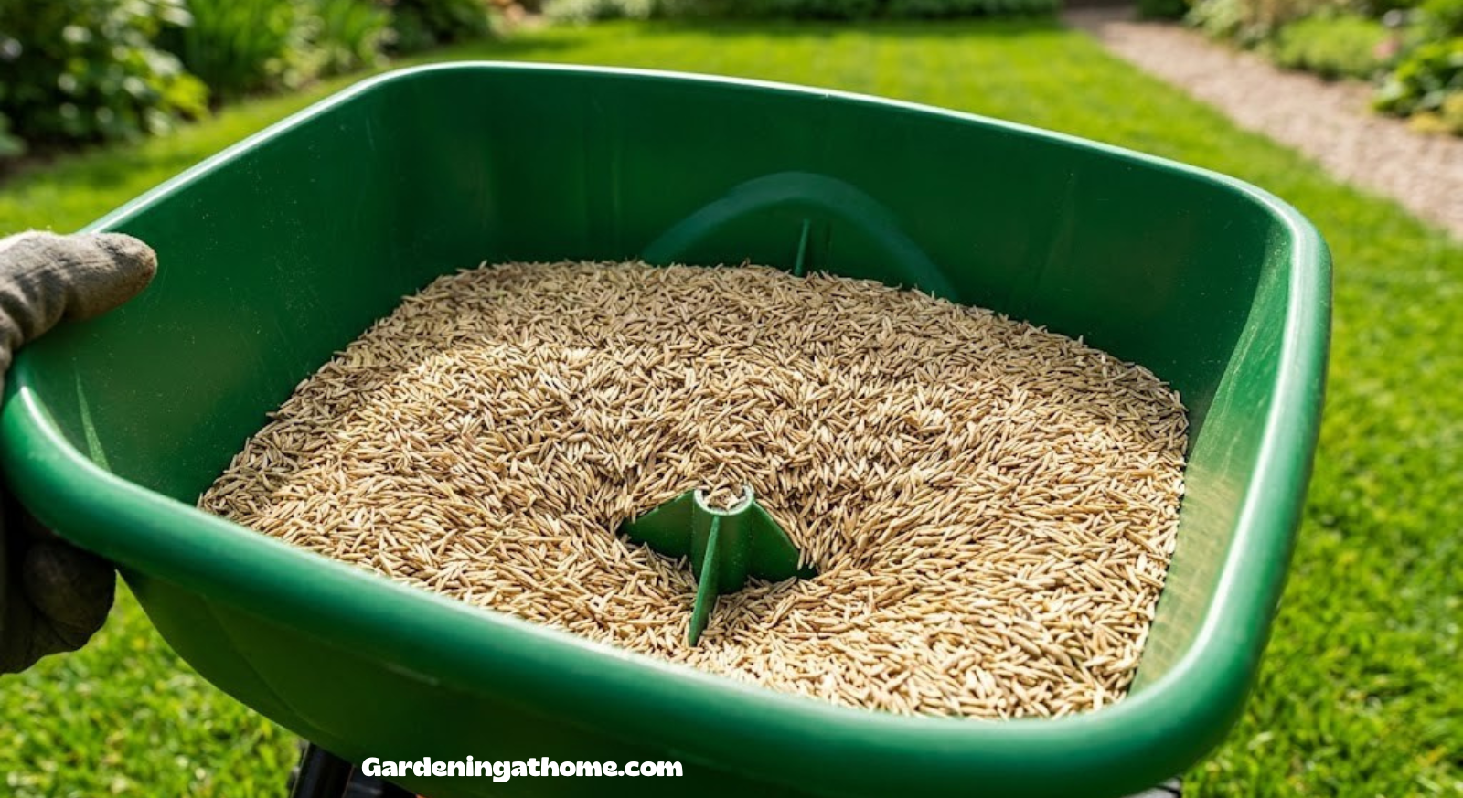 Close up of spreader hopper with grass seed